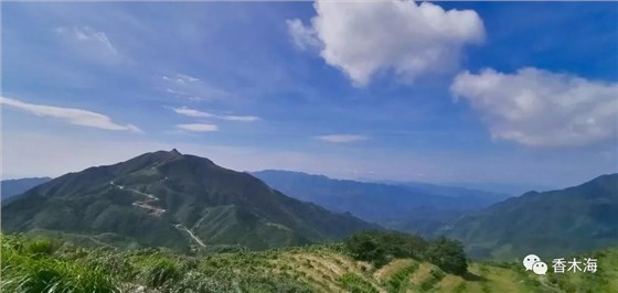 安化黑茶產(chǎn)地在哪些地方？三分鐘讀懂！