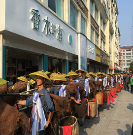 香木海安化加盟店展示