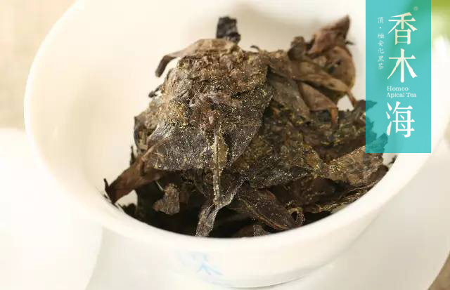 如何讓安化黑茶泡出來(lái)更好喝[茶友必讀]