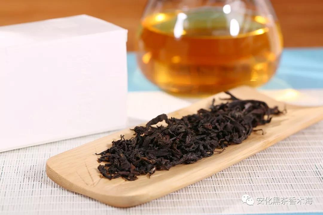 安化黑茶有茶梗，關(guān)于茶梗你知道多少？