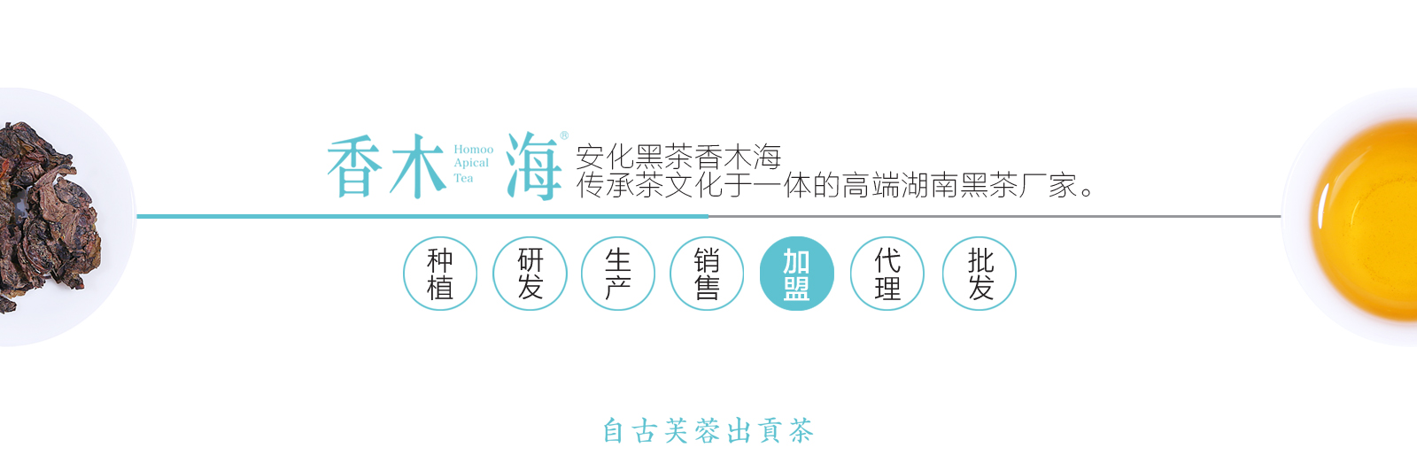 香木海，建好茶的標(biāo)準(zhǔn)，做黑茶的代表，為人類(lèi)健康服務(wù)。