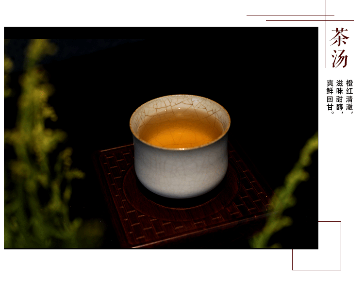 泡一次安化黑茶需要放多少茶葉[黑茶茶藝]